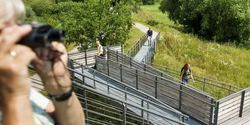 Vogelinsel, Foto: TV Fränkisches Seenland